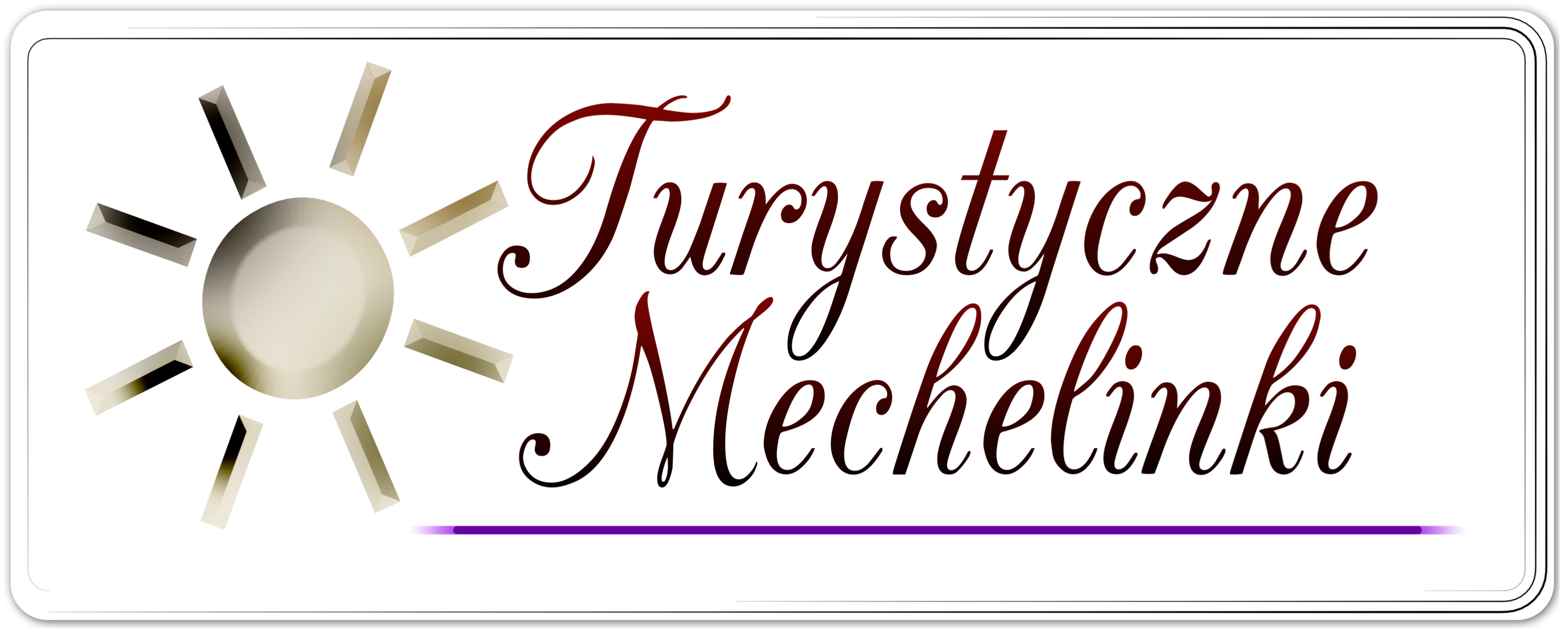 netmagsite black logo